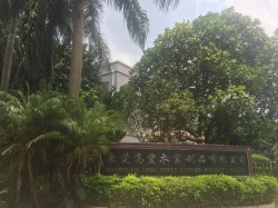 祝賀東莞高豐木業(yè)制品有限公司 順利通過THD家得寶三項(xiàng)審核驗(yàn)廠