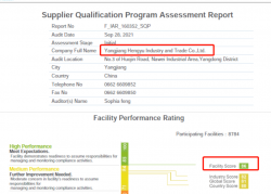 祝陽江恒裕工貿(mào)有限公司通過WCA/SQP驗(yàn)廠，并取得WCA最高等級綠燈86分