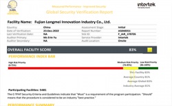 祝賀福建龍美創(chuàng)新有限公司2023年快速通過ITS-GSV驗(yàn)廠